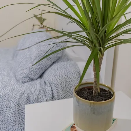 Apartamento Fuentes