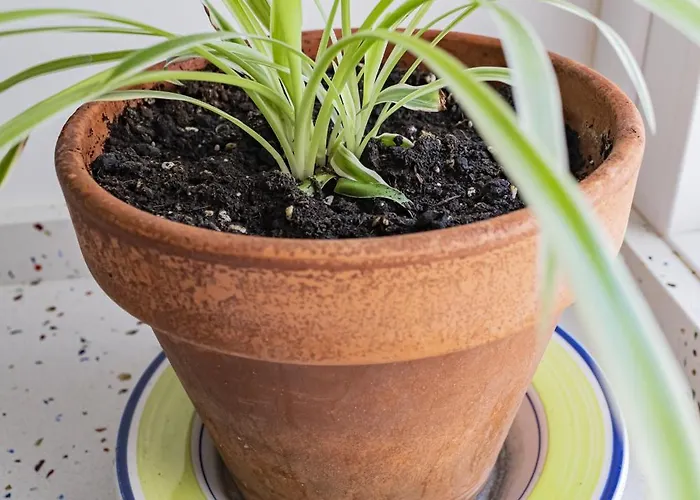 Fuentes 公寓 萨拉戈萨